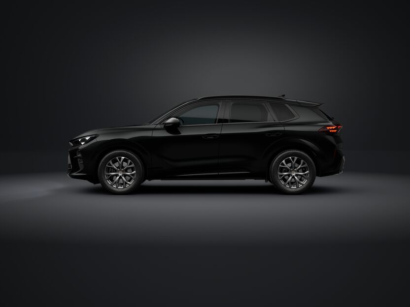 Slika: Terramar Impulse 2.0 TSI DSG 4DRIVE