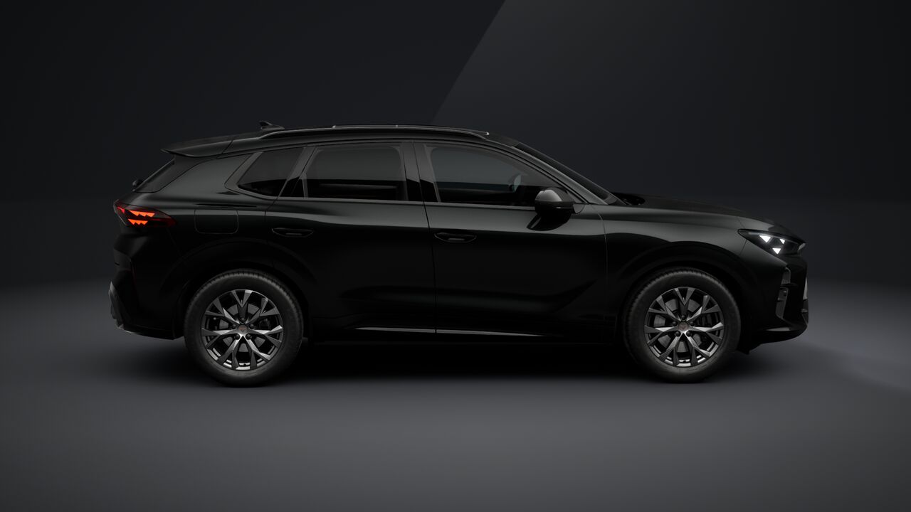 Slika: Terramar Impulse 2.0 TSI DSG 4DRIVE