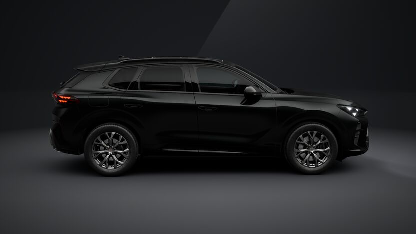 Slika: Terramar Impulse 2.0 TSI DSG 4DRIVE