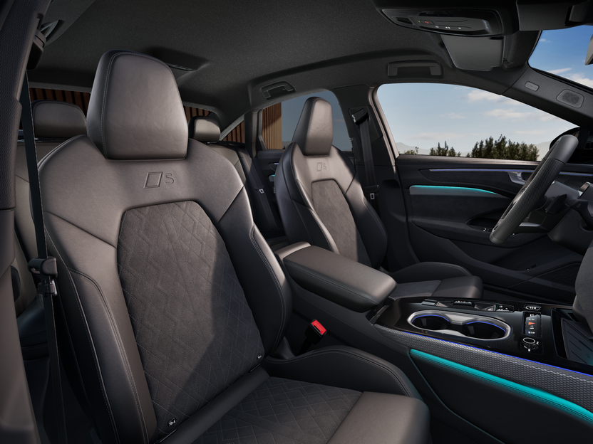 Obrázok A6 Limuzína TDI quattro 220kW STR