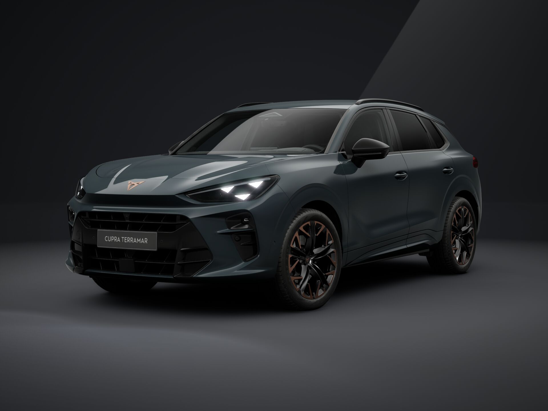 Obrázok CUPRA Terramar 2,0 TSI 204 4D 7DSG