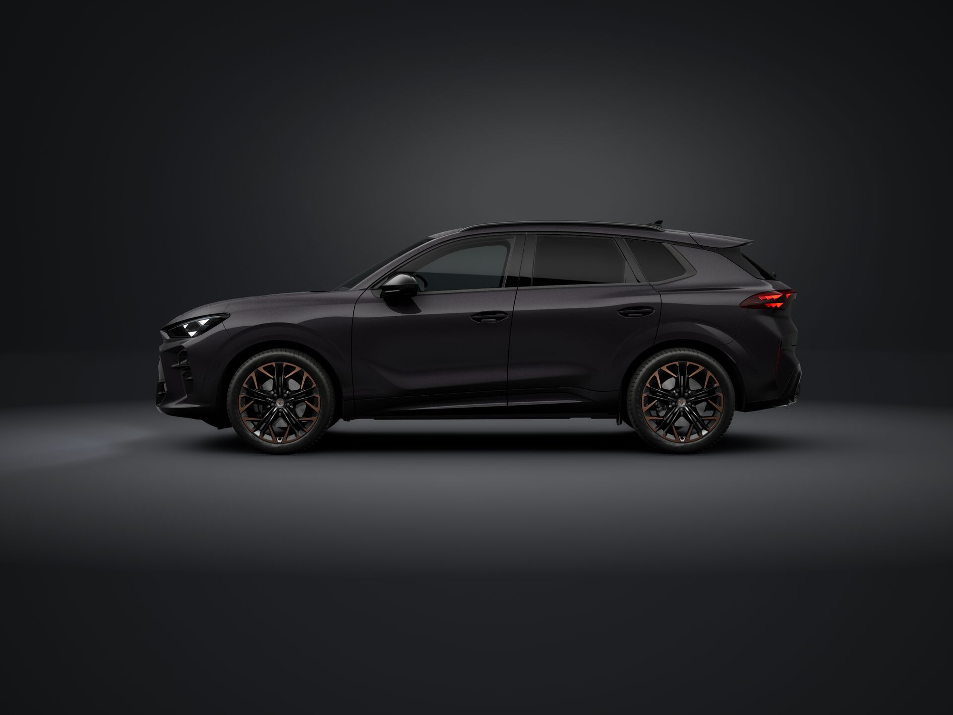 Obrázok CUPRA Terramar 2,0 TSI 204 4D 7DSG