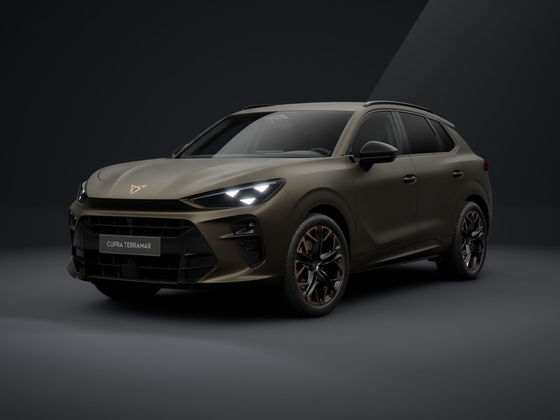 Obrázok CUPRA Terramar 2,0 TSI 204 4D 7DSG