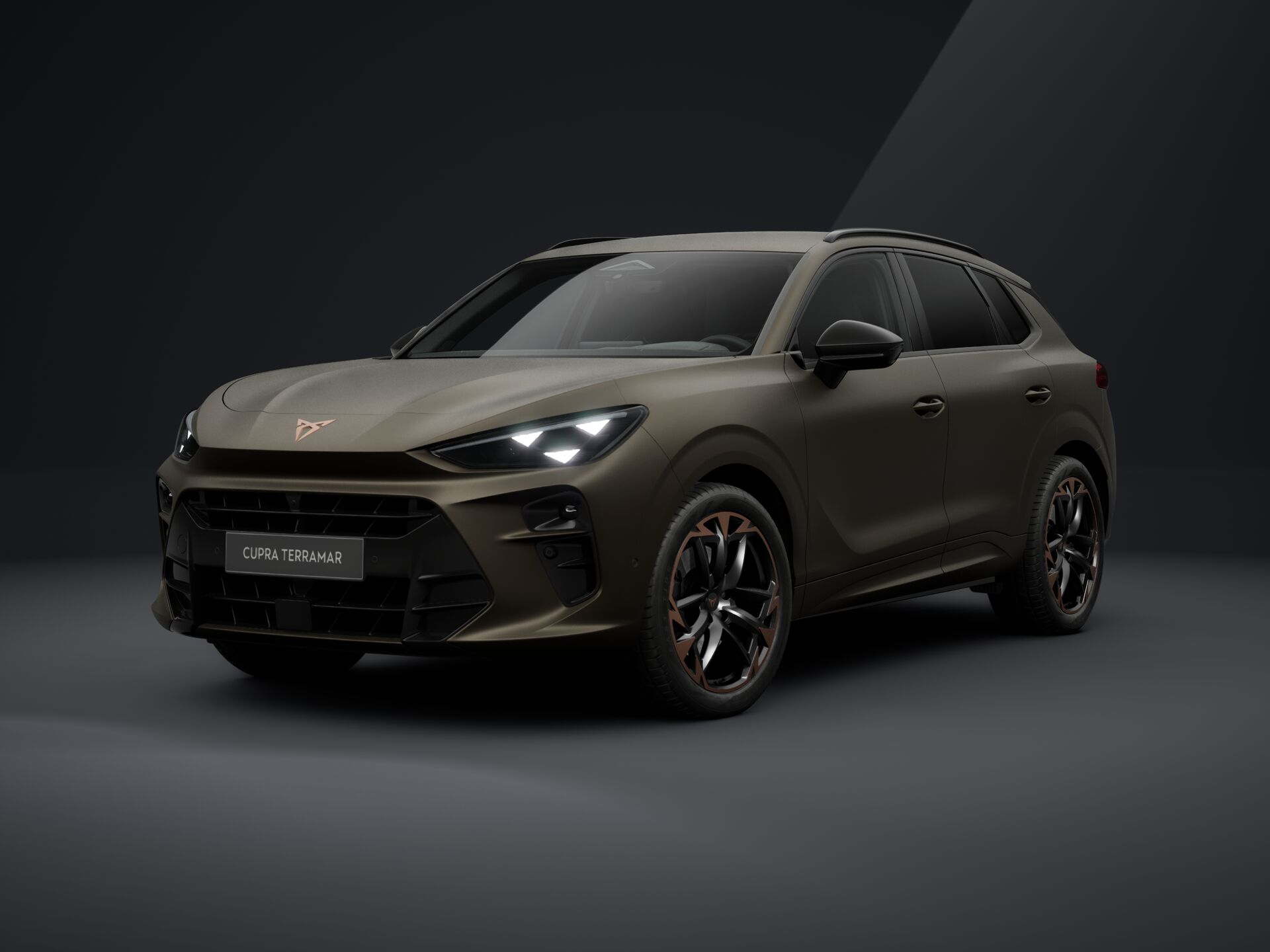 Obrázok CUPRA Terramar 2,0 TSI 204 4D 7DSG