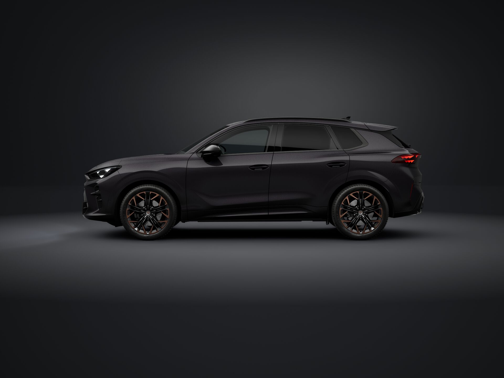 Obrázok CUPRA Terramar 2,0 TSI 204 4D 7DSG