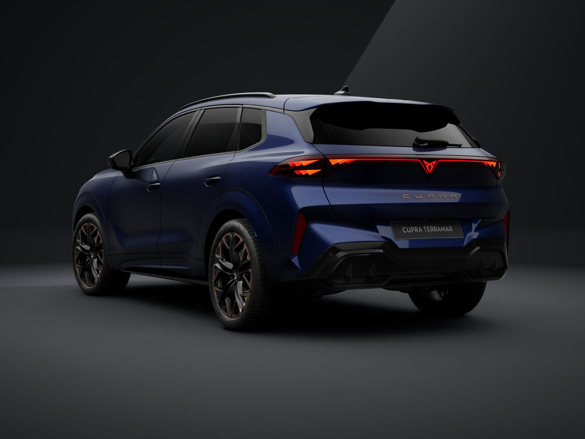 Obrázok CUPRA Terramar 2,0 TSI 204 4D 7DSG