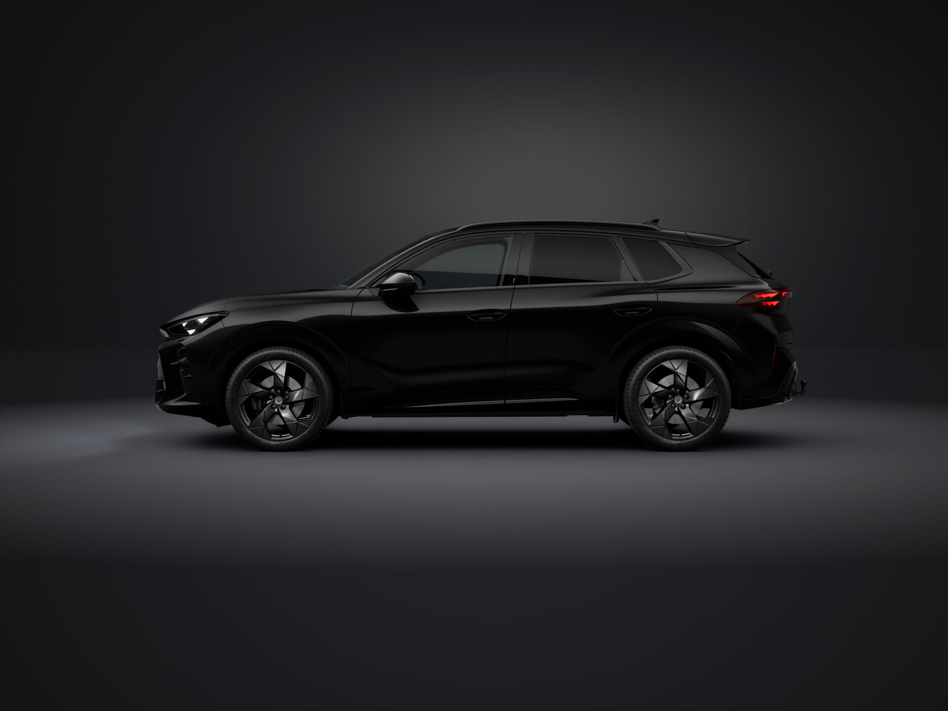 Obrázok CUPRA Terramar 2,0 TSI 204 4D 7DSG