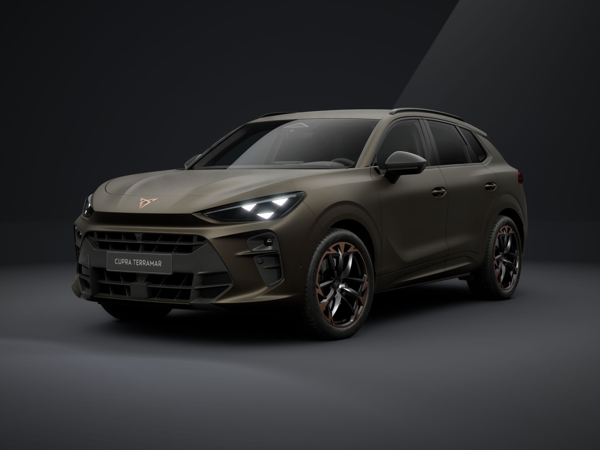 Obrázok CUPRA Terramar 2,0 TSI 204 4D 7DSG