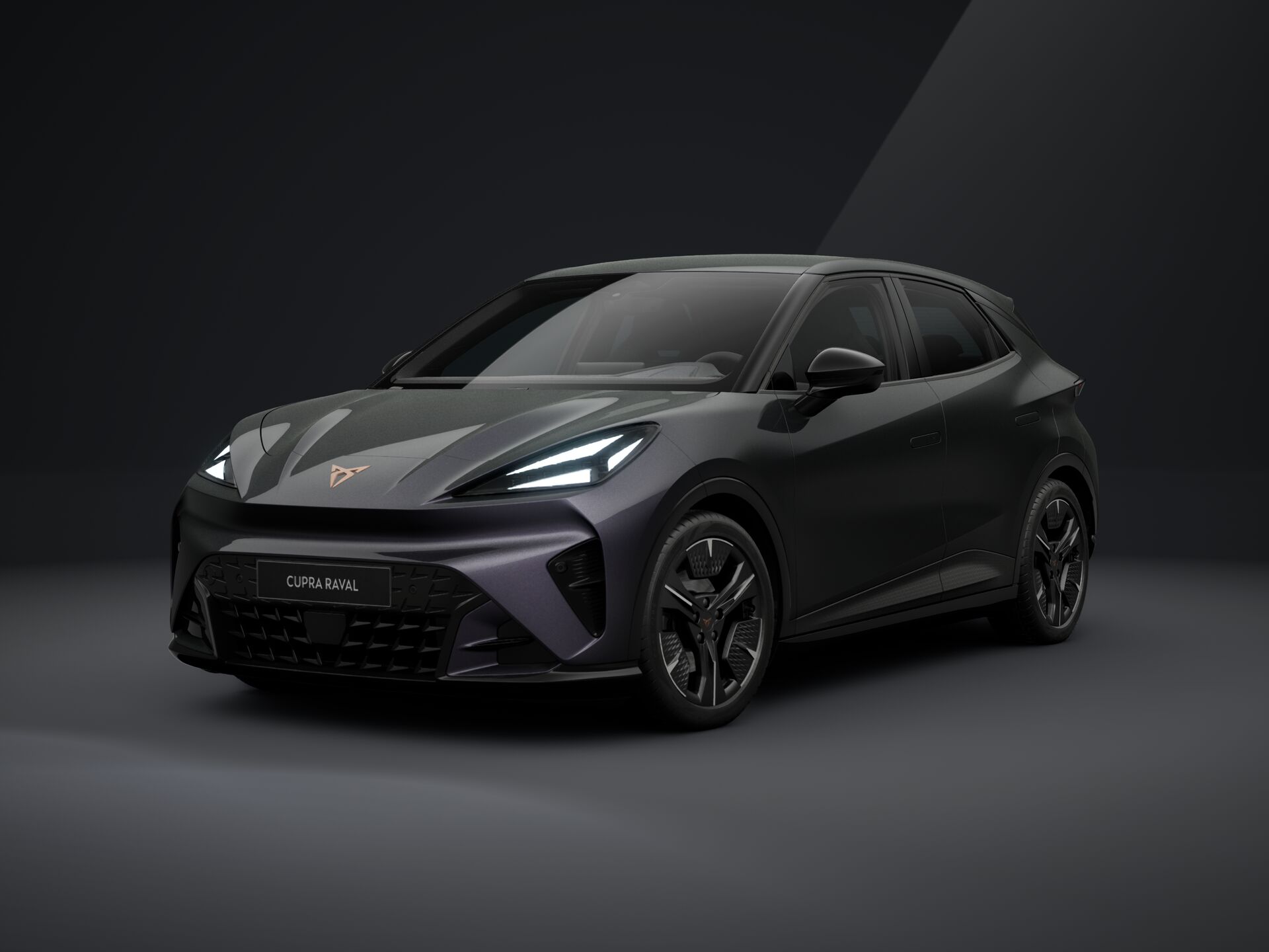 Obrázok CUPRA RAVAL ENDURANCE 210/55
