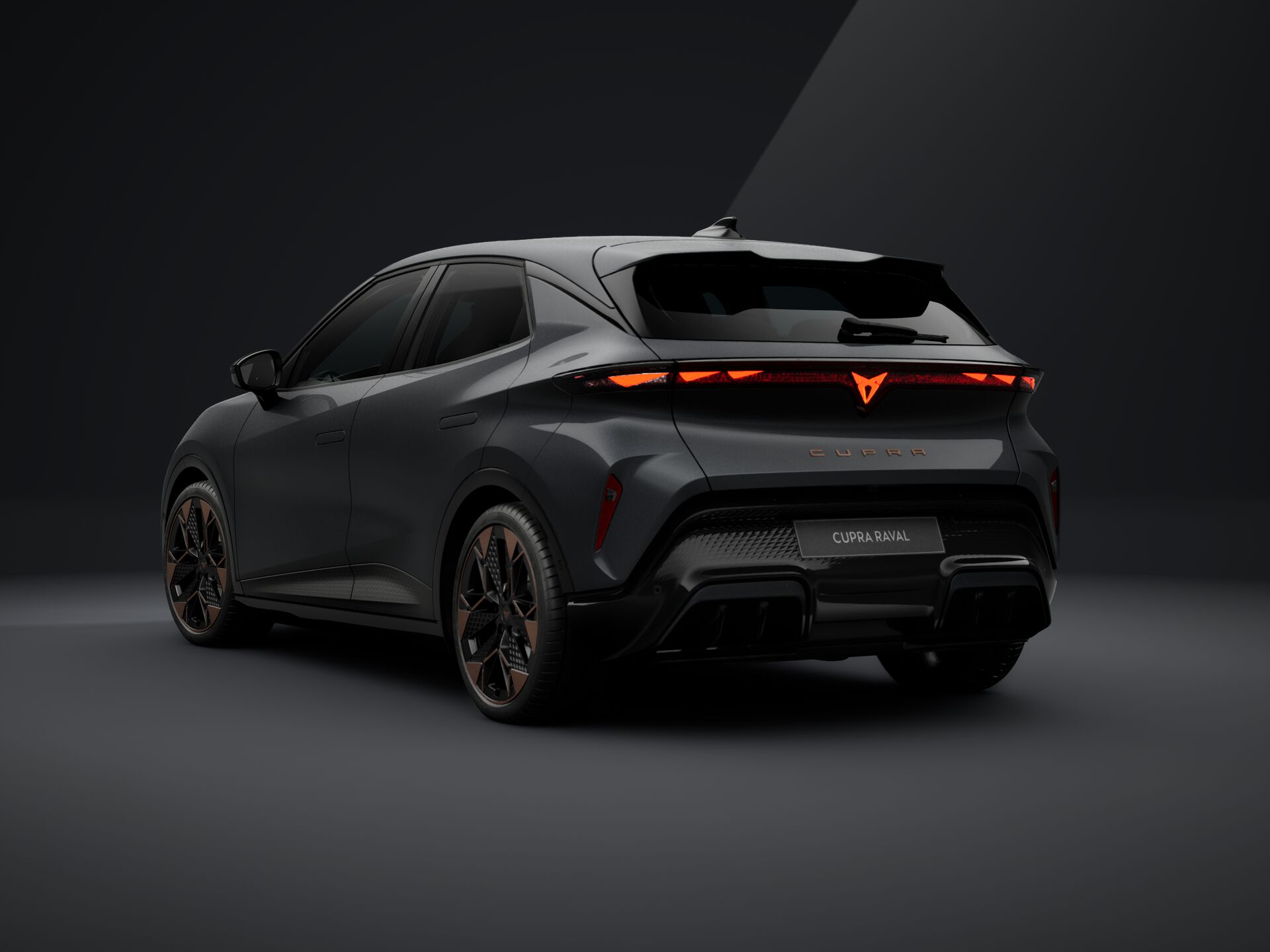 Obrázok CUPRA RAVAL ENDURANCE 210/55