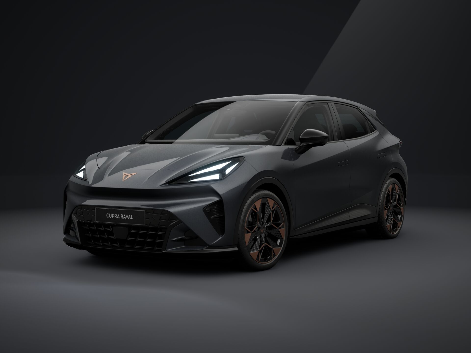 Obrázok CUPRA RAVAL ENDURANCE 210/55