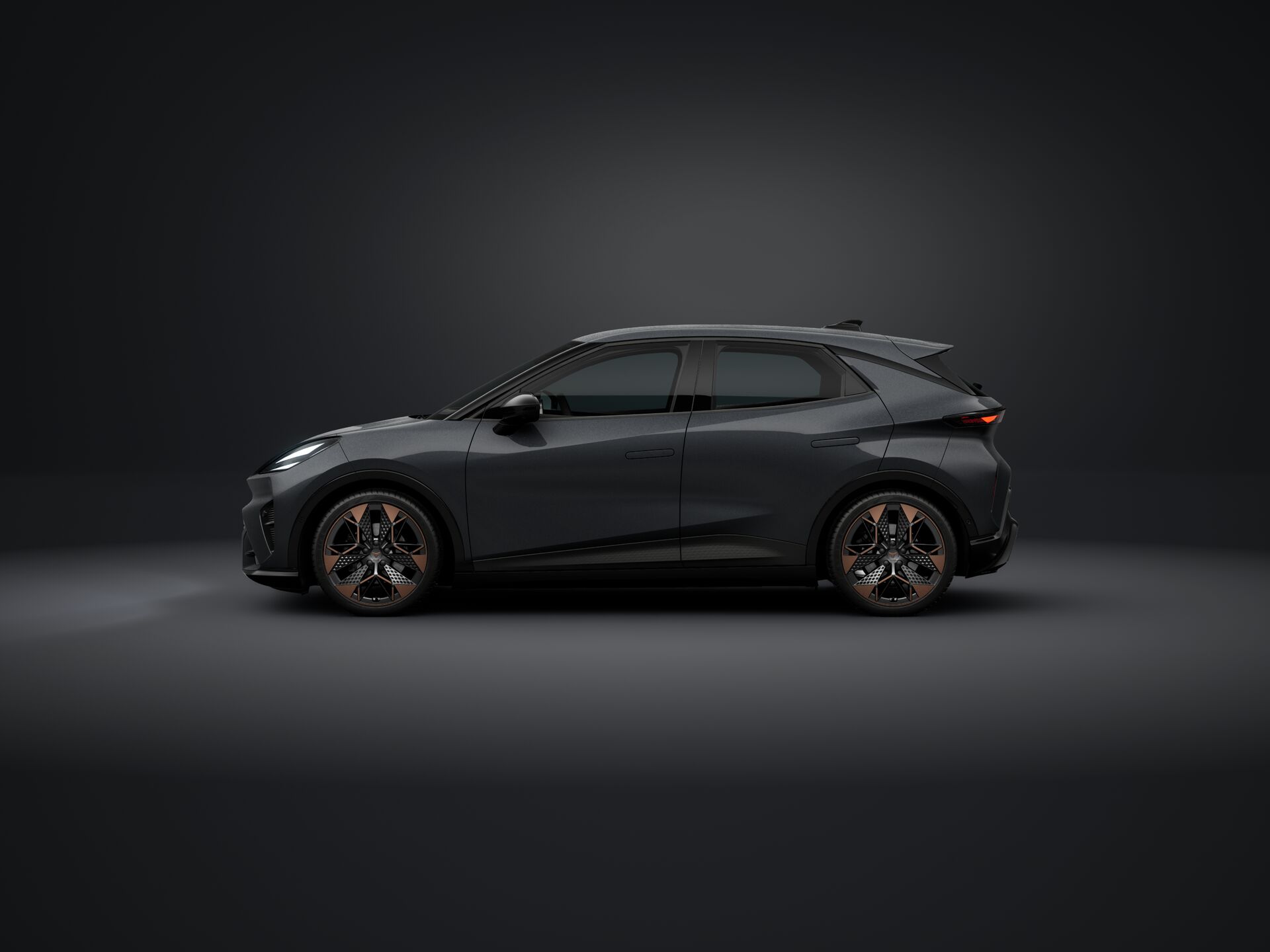 Obrázok CUPRA RAVAL ENDURANCE 210/55