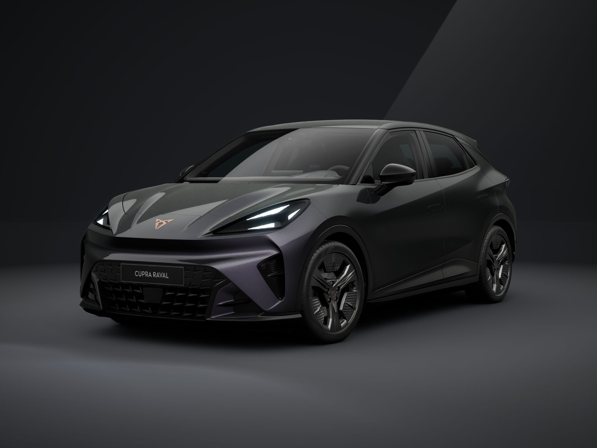 Obrázok CUPRA RAVAL ENDURANCE 210/55
