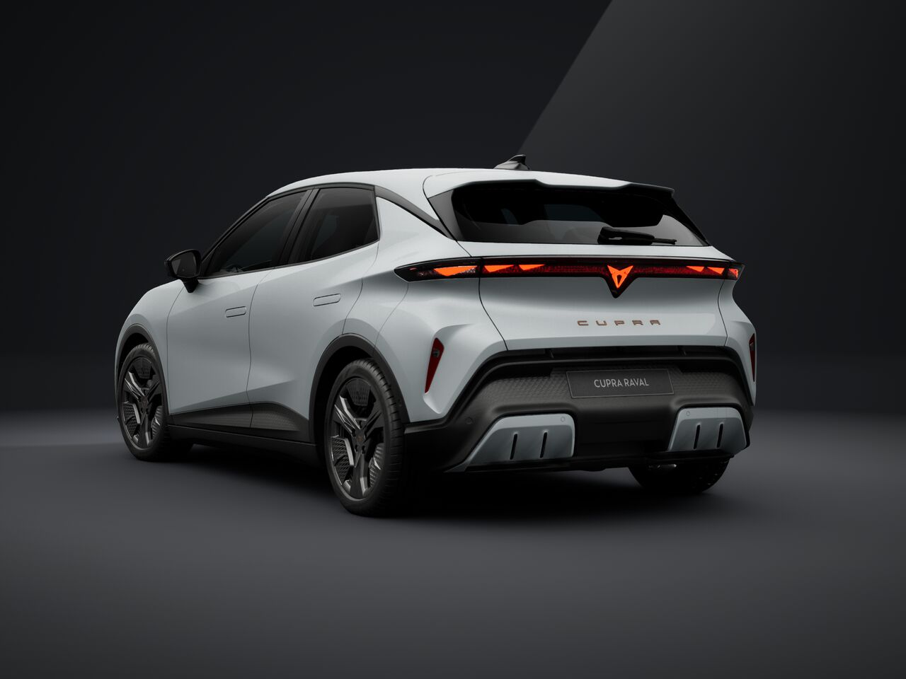 Obrázok CUPRA RAVAL ENDURANCE 210/55