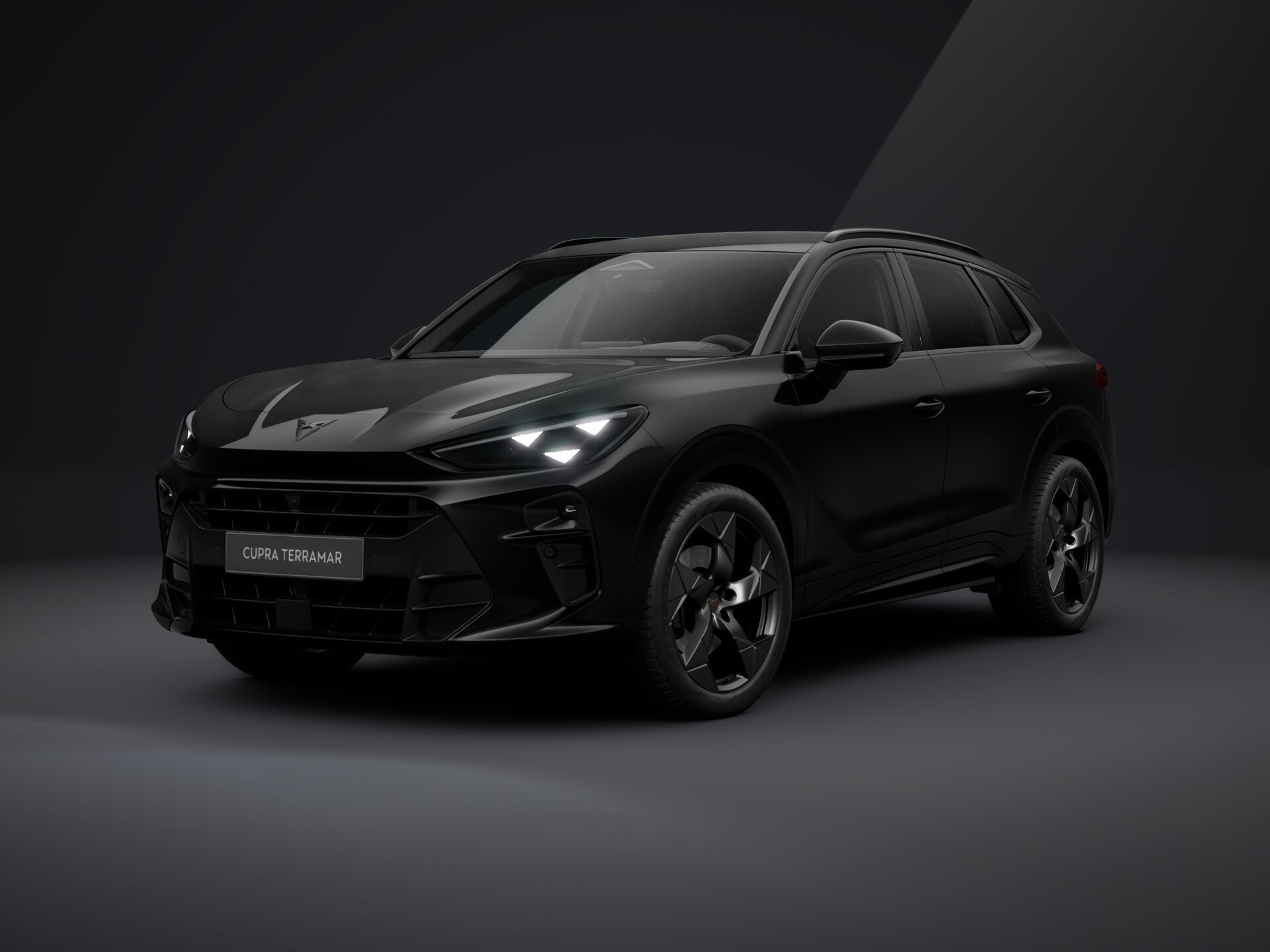 Obrázok CUPRA Terramar 2,0 TSI 204 4D 7DSG