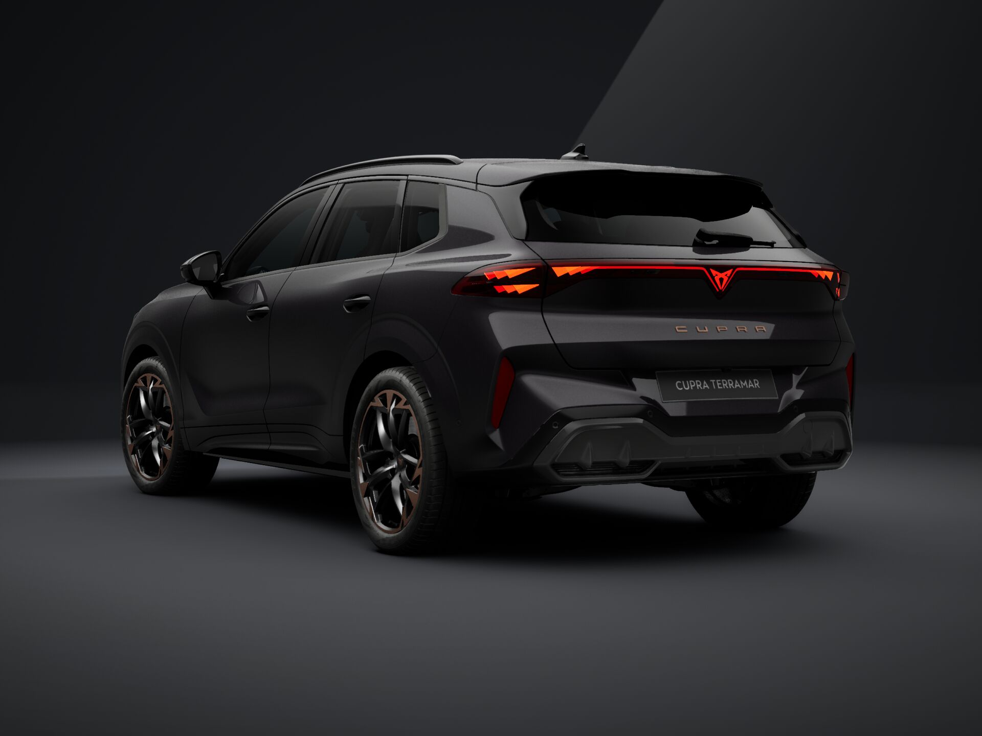 Obrázok CUPRA Terramar 2,0 TSI 204 4D 7DSG