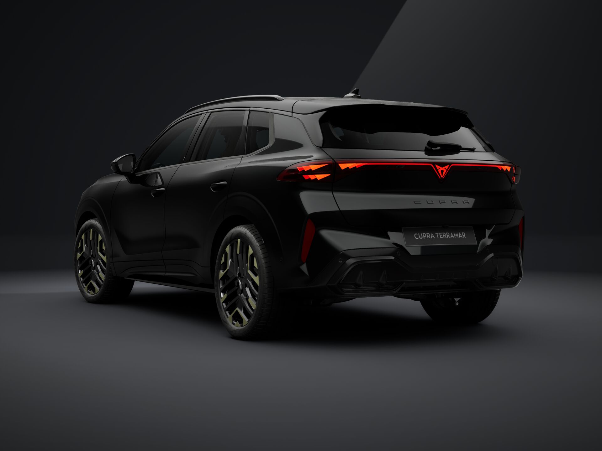 Obrázok CUPRA Terramar 2,0 TSI 204 4D 7DSG
