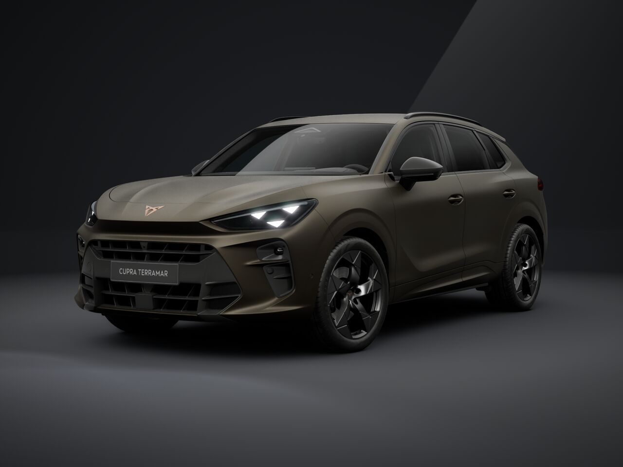 Obrázok CUPRA Terramar 2,0 TSI 204 4D 7DSG