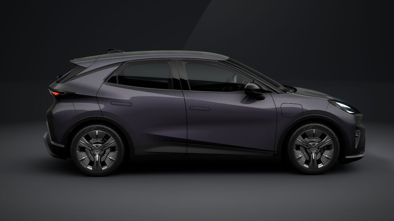 Obrázok CUPRA RAVAL+ 135/38