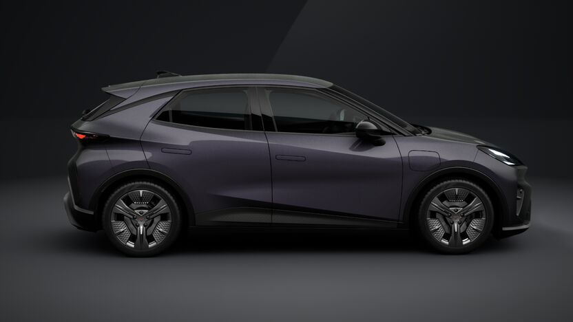 Obrázok CUPRA RAVAL+ 135/38