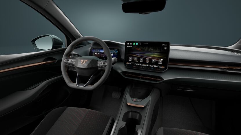 Obrázok CUPRA RAVAL+ 135/38