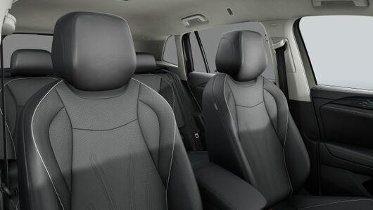 Obrázok Tiguan Elegance 2.0 TDI EVO 4MOT DS7