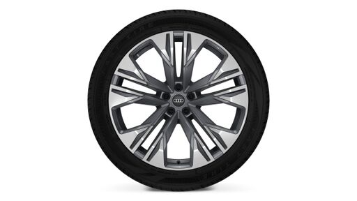 Диски 5 подвійних рукавів 10Jx22 сірий