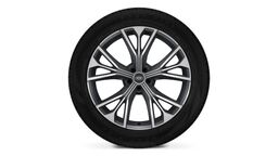 Диски 5 W-подібних спиць 10Jx21