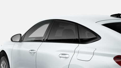 Засклення Privacy