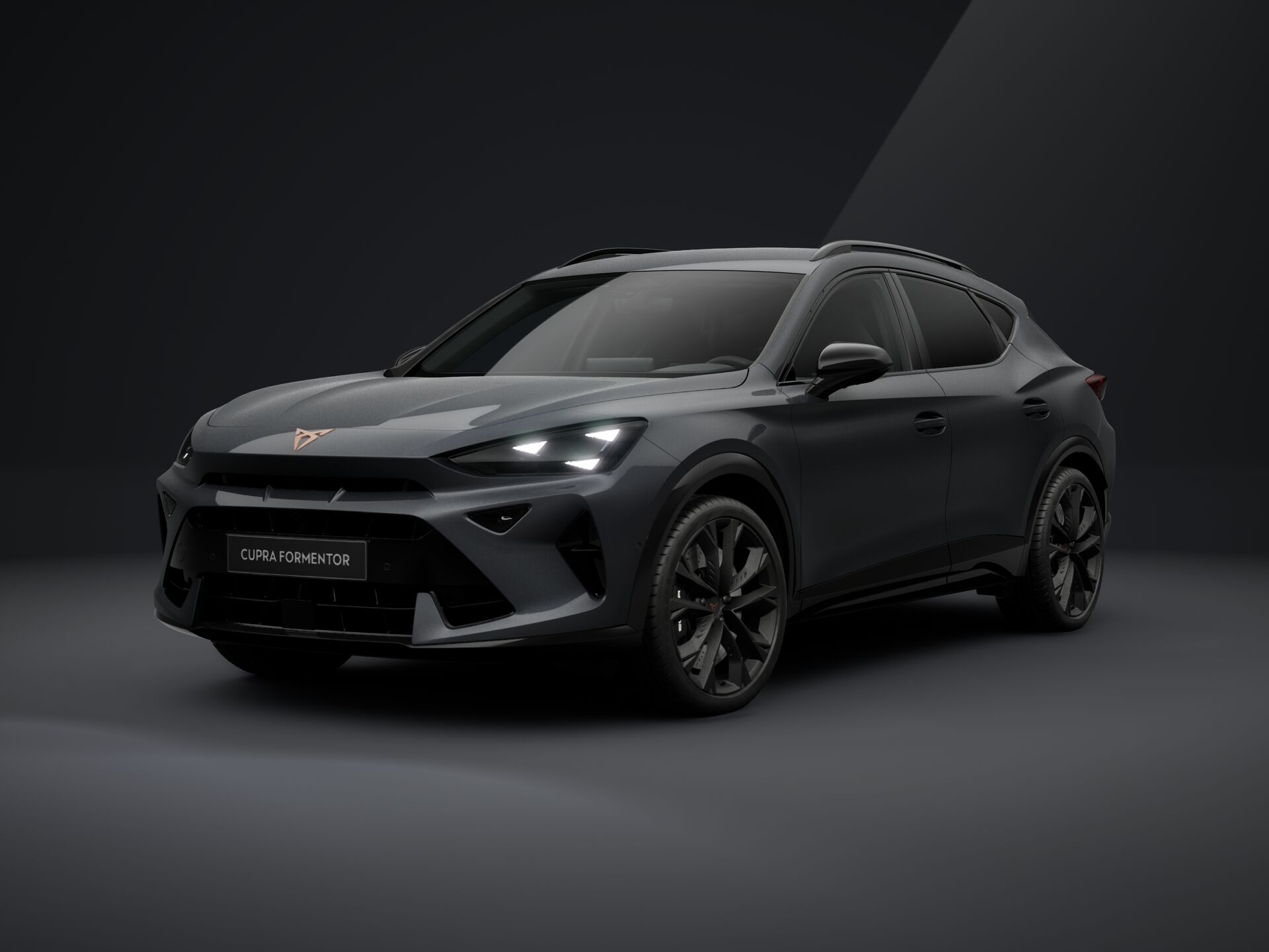 Зображення Formentor VZ 2.0TSI 333 кс DSG 4Drive