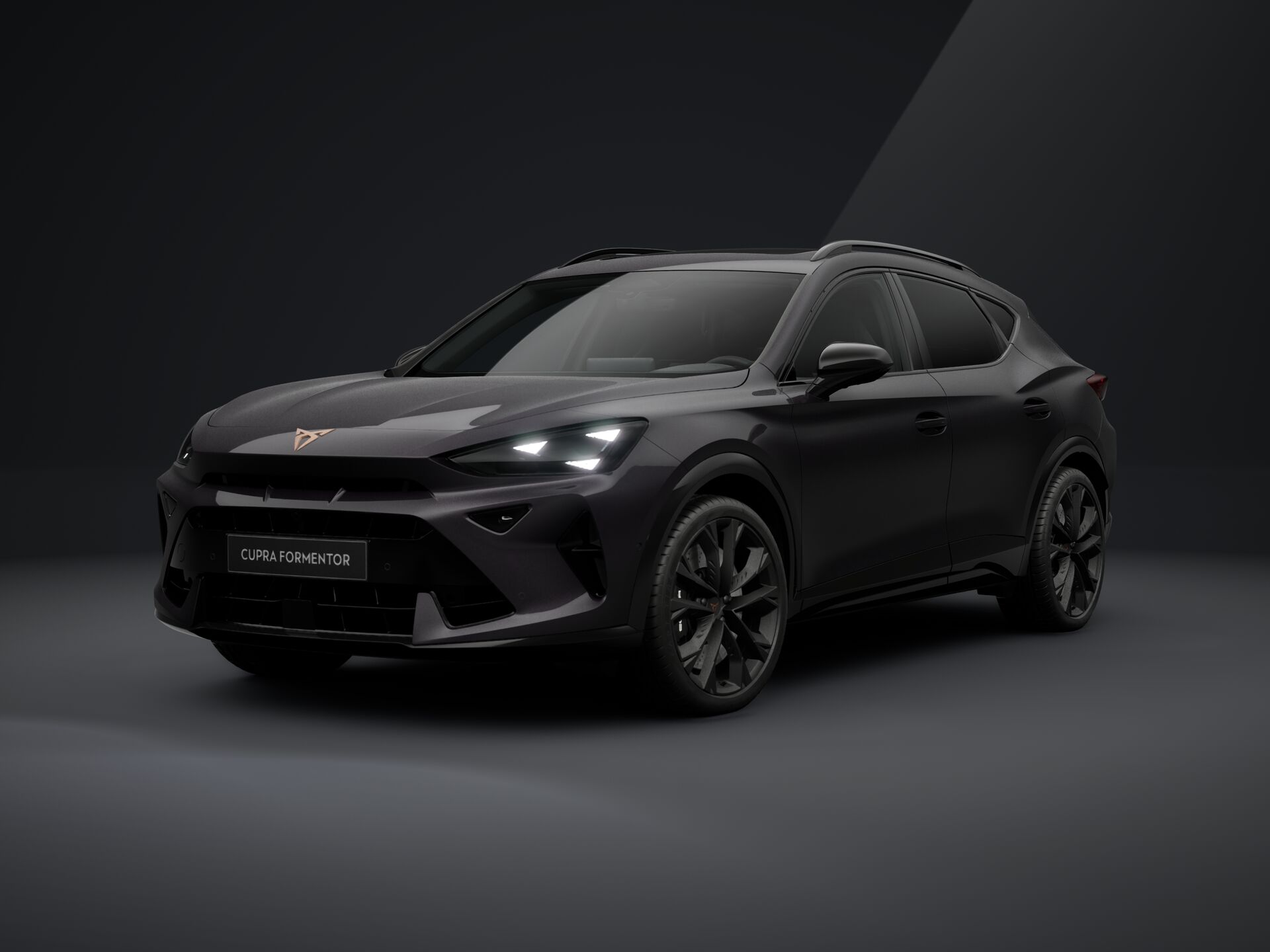Зображення Formentor VZ 2.0TSI 333 кс DSG 4Drive