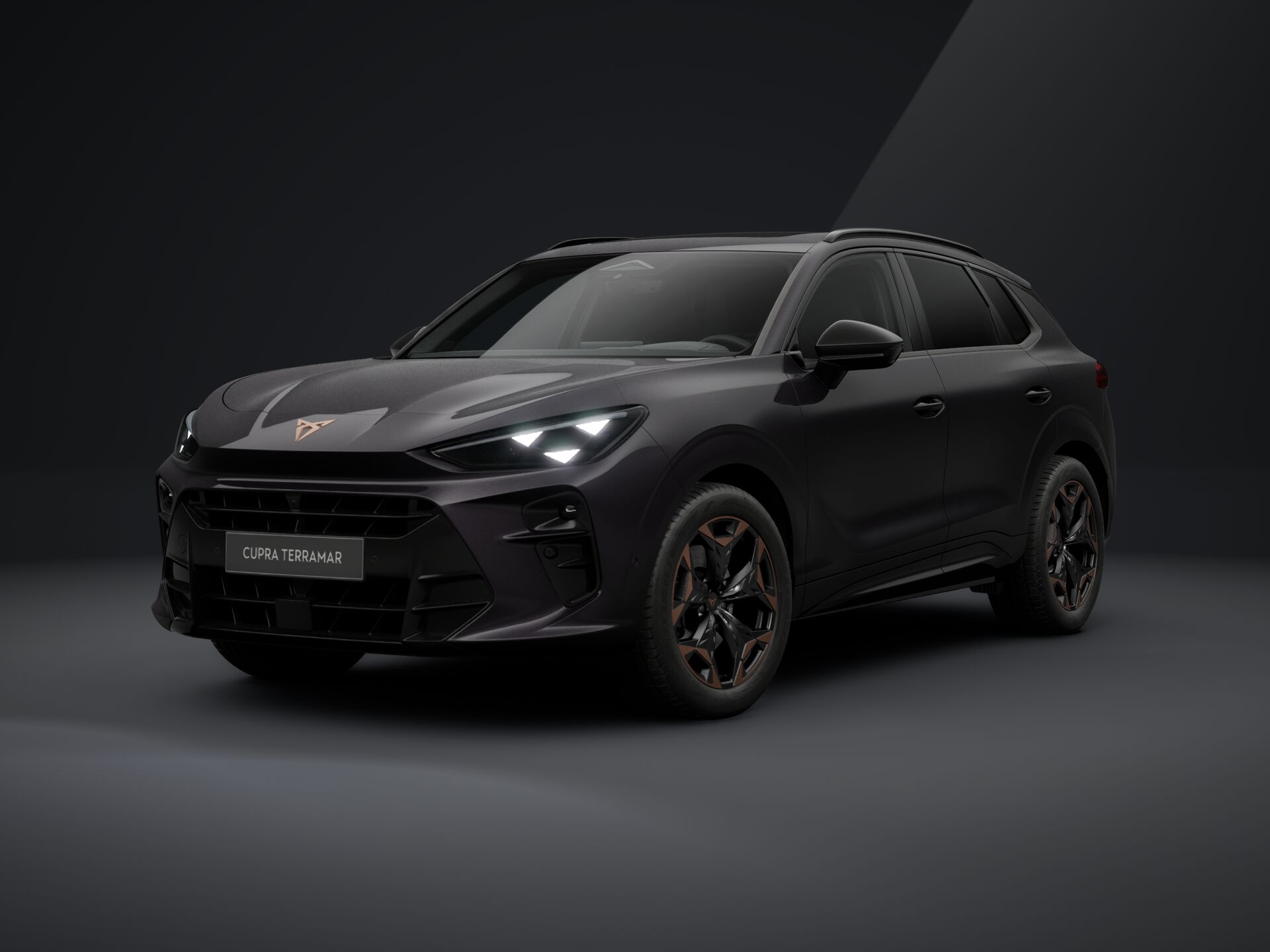 Зображення CUPRA Terramar VZ 265 к.с. DSG 4Drive