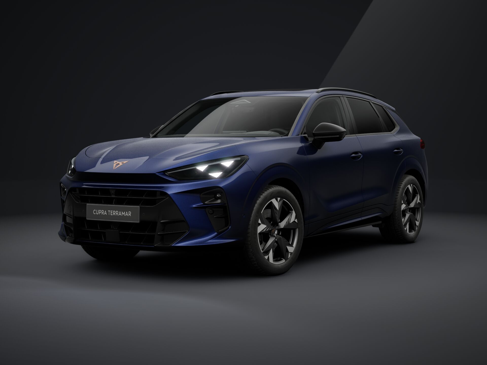 Зображення CUPRA Terramar VZ 265 к.с. DSG 4Drive