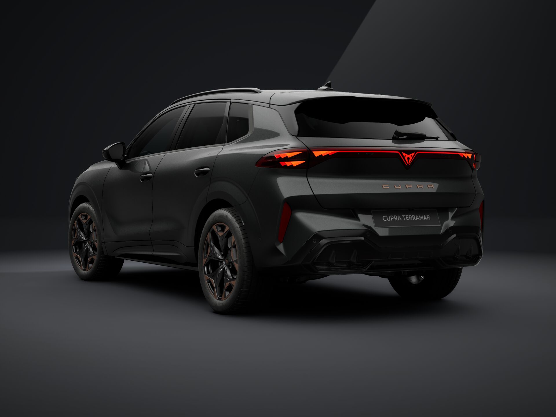 Зображення CUPRA Terramar VZ 265 к.с. DSG 4Drive