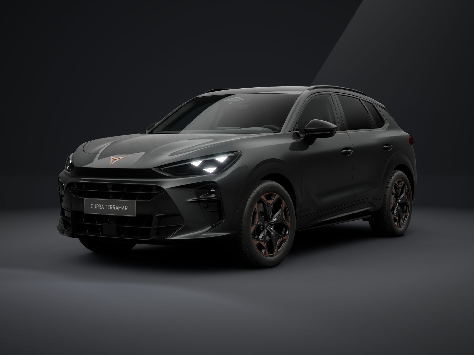 Зображення CUPRA Terramar VZ 265 к.с. DSG 4Drive