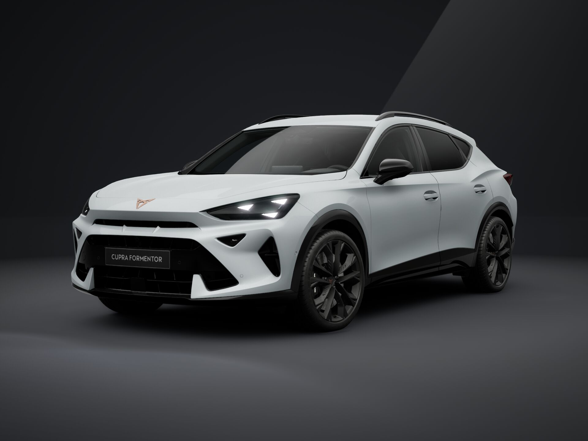 Зображення Formentor VZ 2.0TSI 333 кс DSG 4Drive
