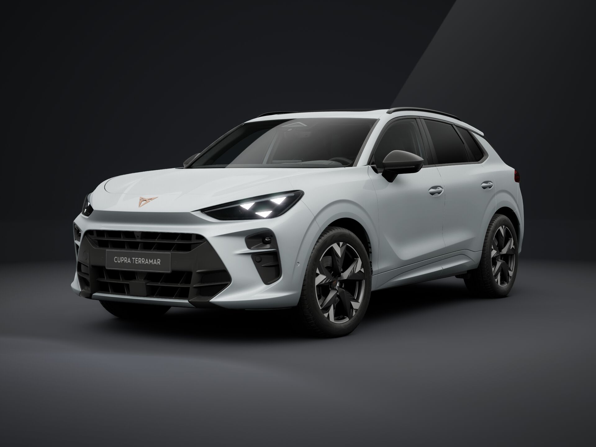 Зображення CUPRA Terramar VZ 265 к.с. DSG 4Drive