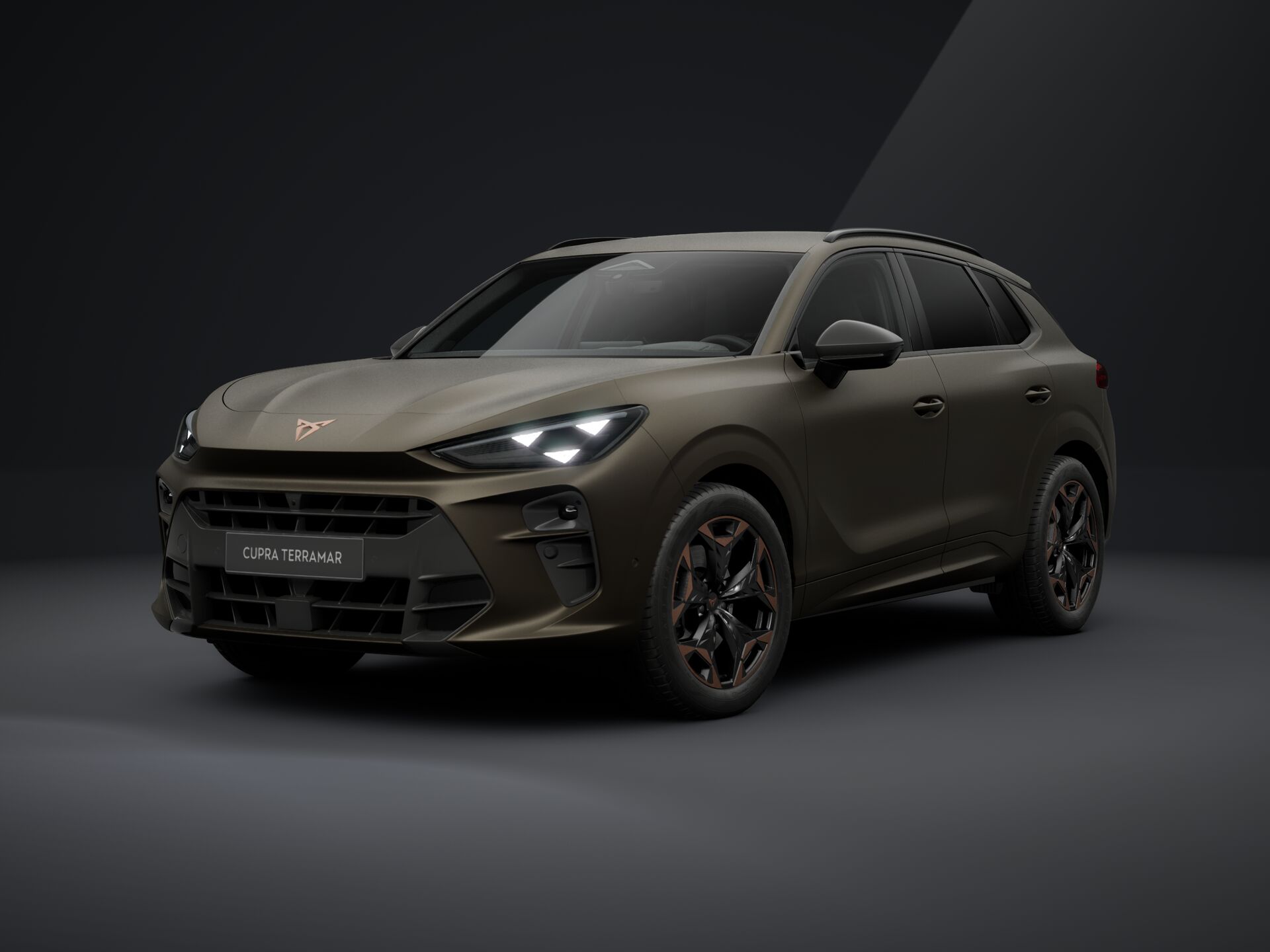 Зображення CUPRA Terramar MID 204к.с. DSG 4Drive