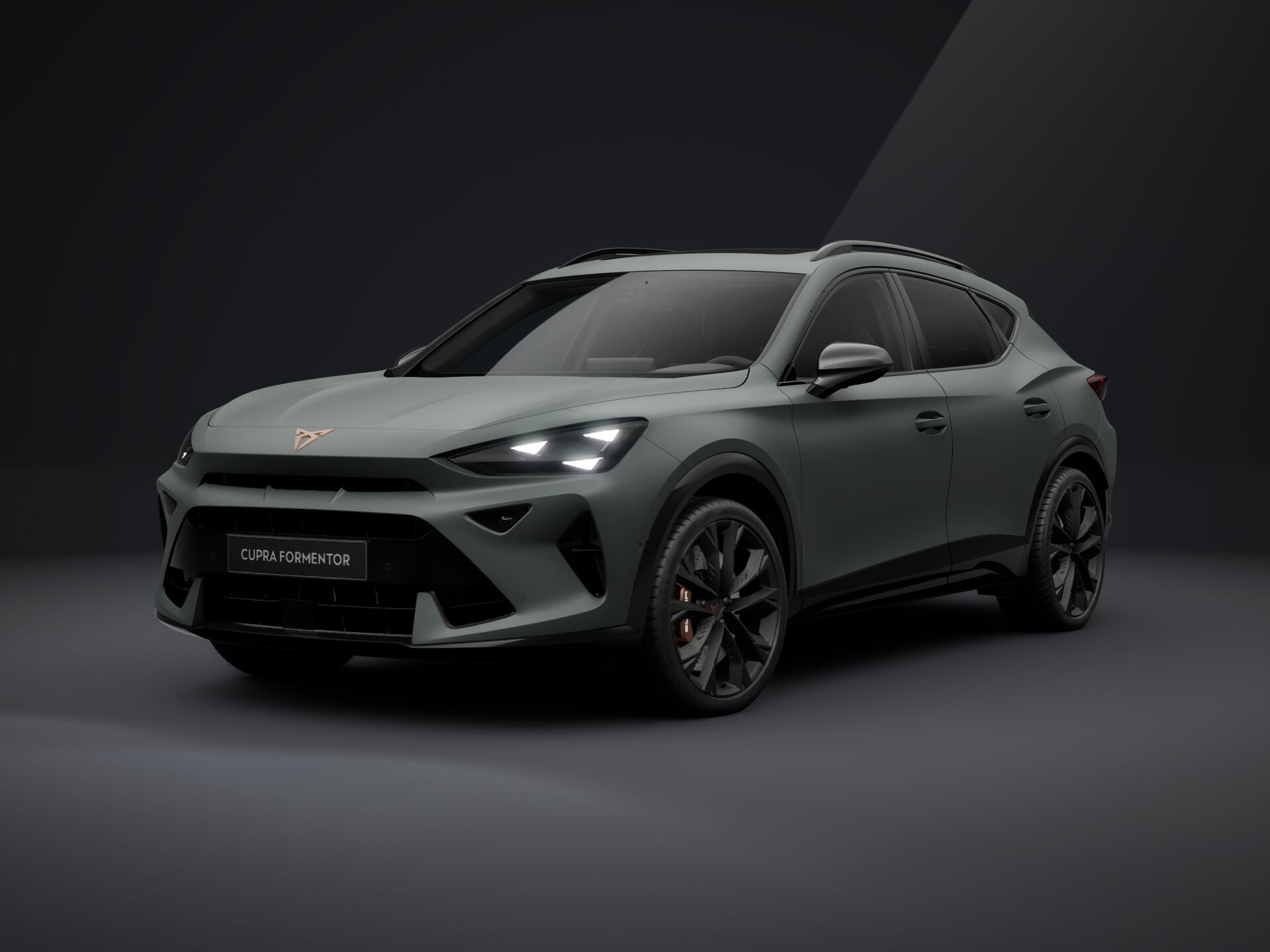 Зображення Formentor VZ 2.0 TSI 333 к.с. DSG 4Drive