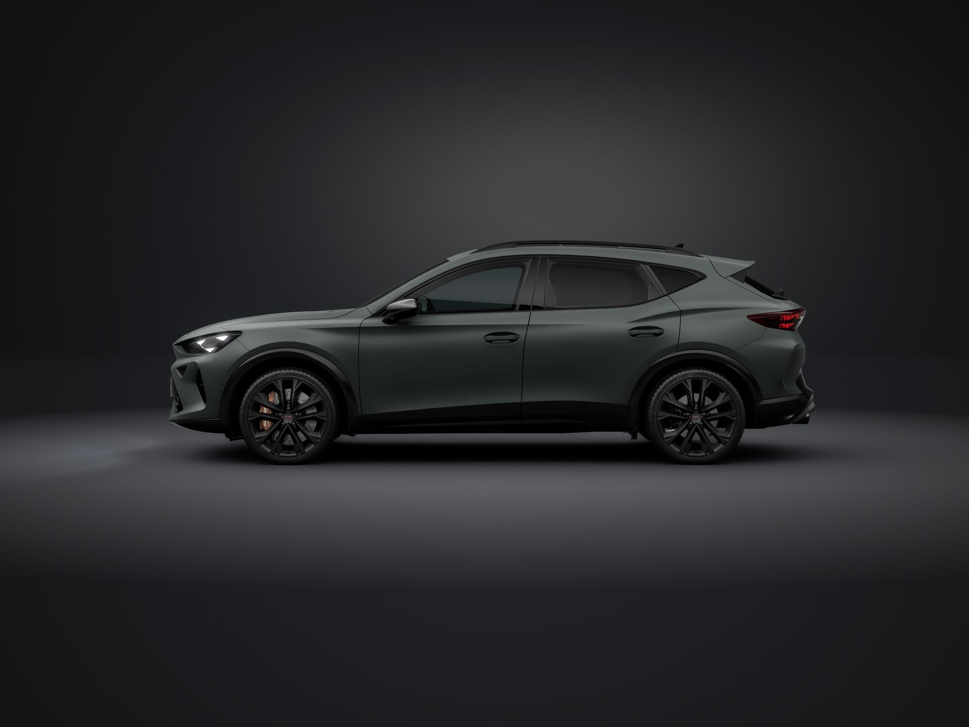 Зображення Formentor VZ 2.0 TSI 333 к.с. DSG 4Drive