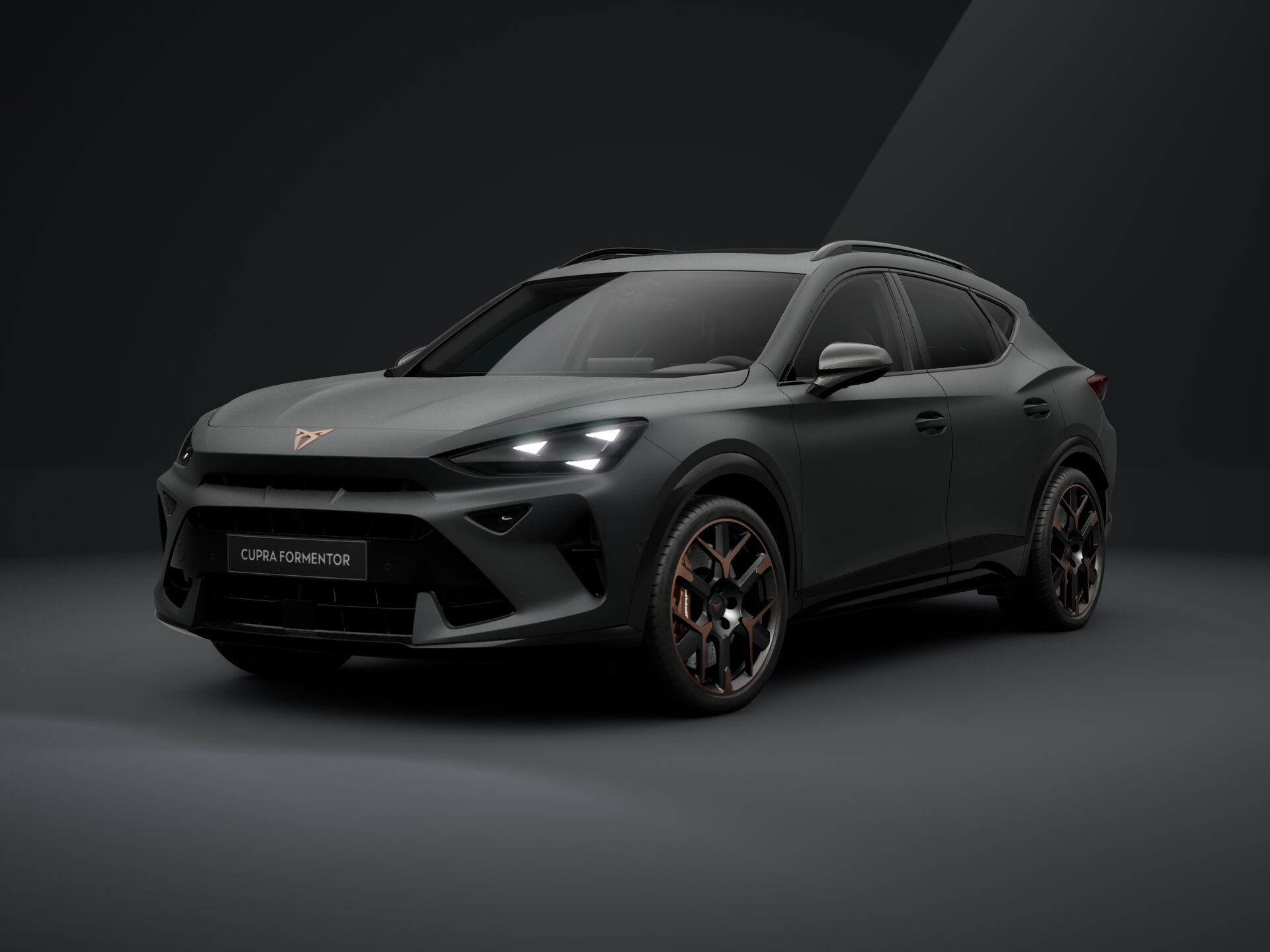 Зображення Formentor VZ 2.0 TSI 333 к.с. DSG 4Drive