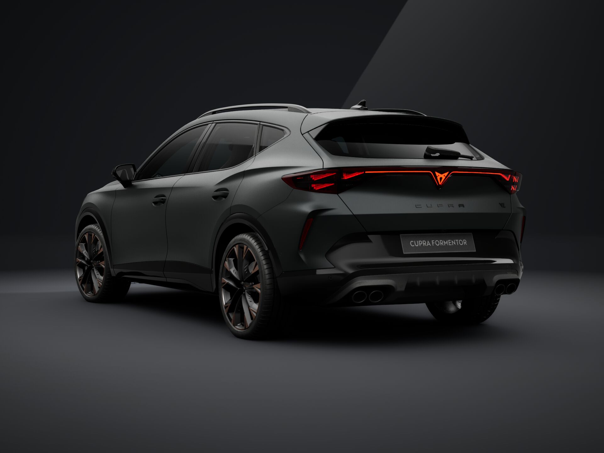 Зображення Formentor VZ 2.0 TSI 333 к.с. DSG 4Drive