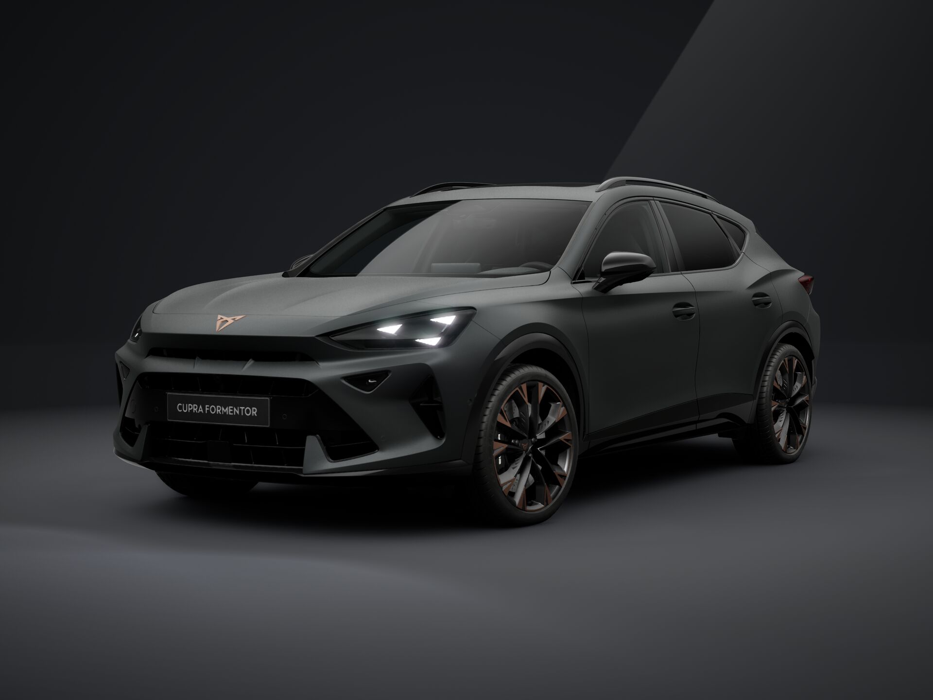 Зображення Formentor VZ 2.0TSI 333 кс DSG 4Drive