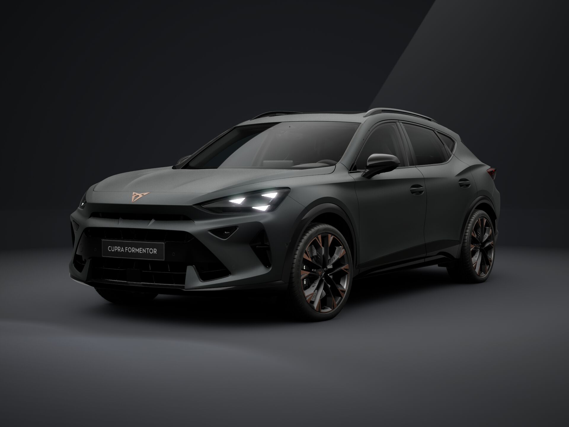 Зображення Formentor VZ 2.0 TSI 333 к.с. DSG 4Drive