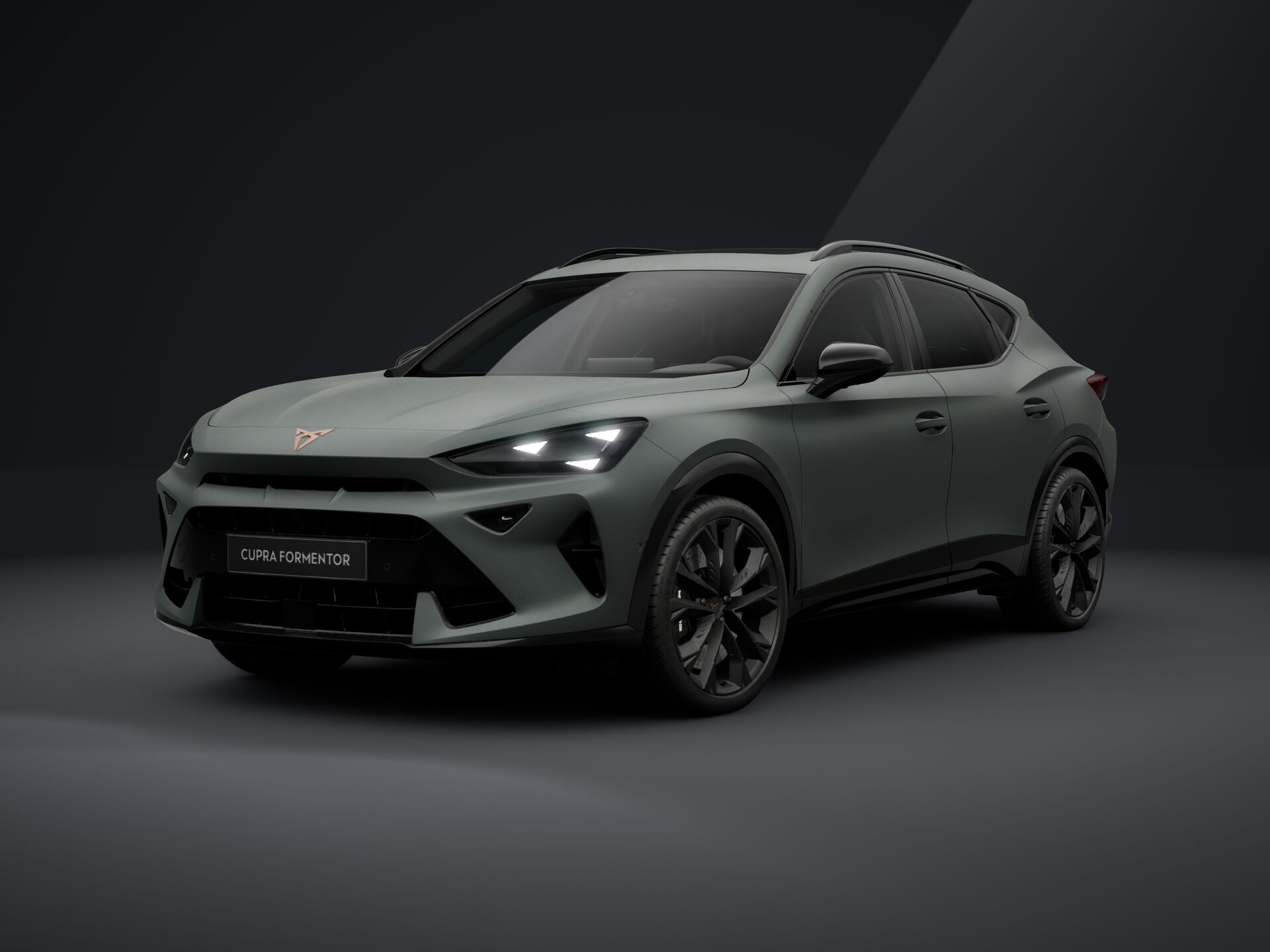 Зображення Formentor VZ 2.0TSI 333 кс DSG 4Drive