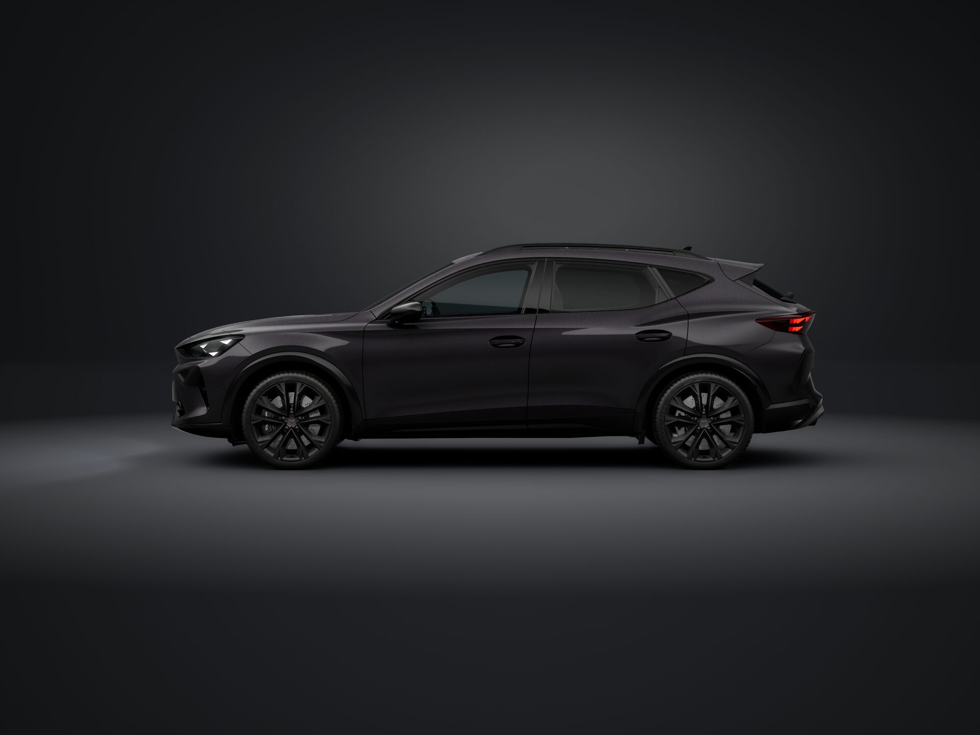 Зображення Formentor VZ 2.0TSI 333 кс DSG 4Drive