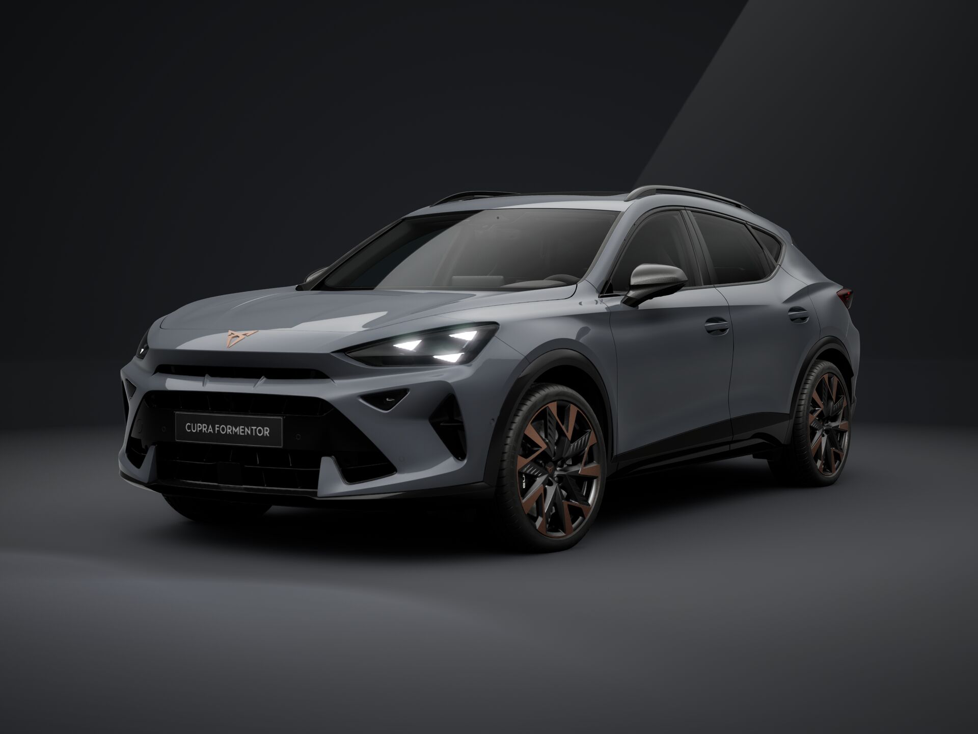 Зображення Formentor VZ 2.0 TSI 333 к.с. DSG 4Drive