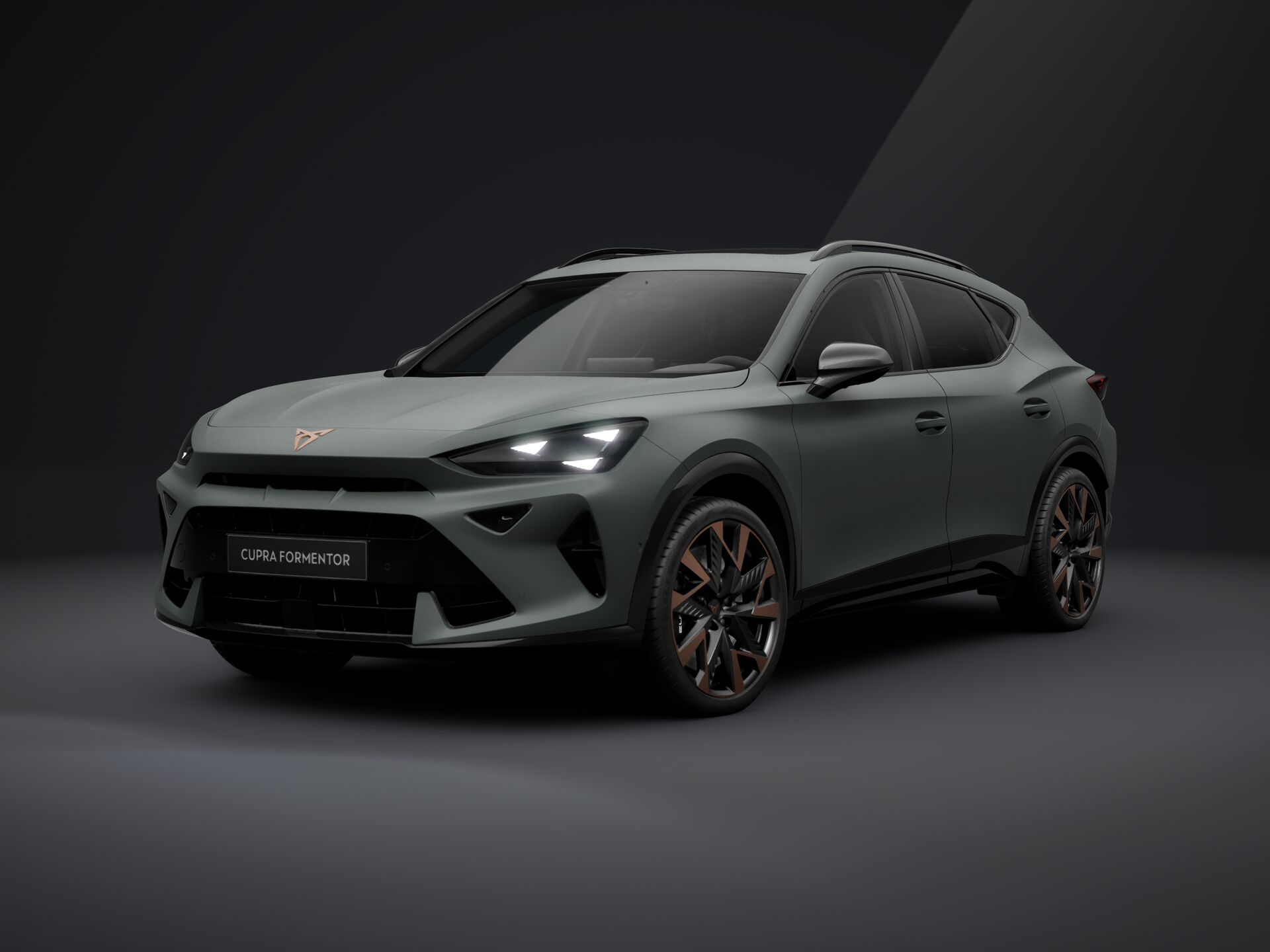 Зображення Formentor VZ 2.0 TSI 333 к.с. DSG 4Drive