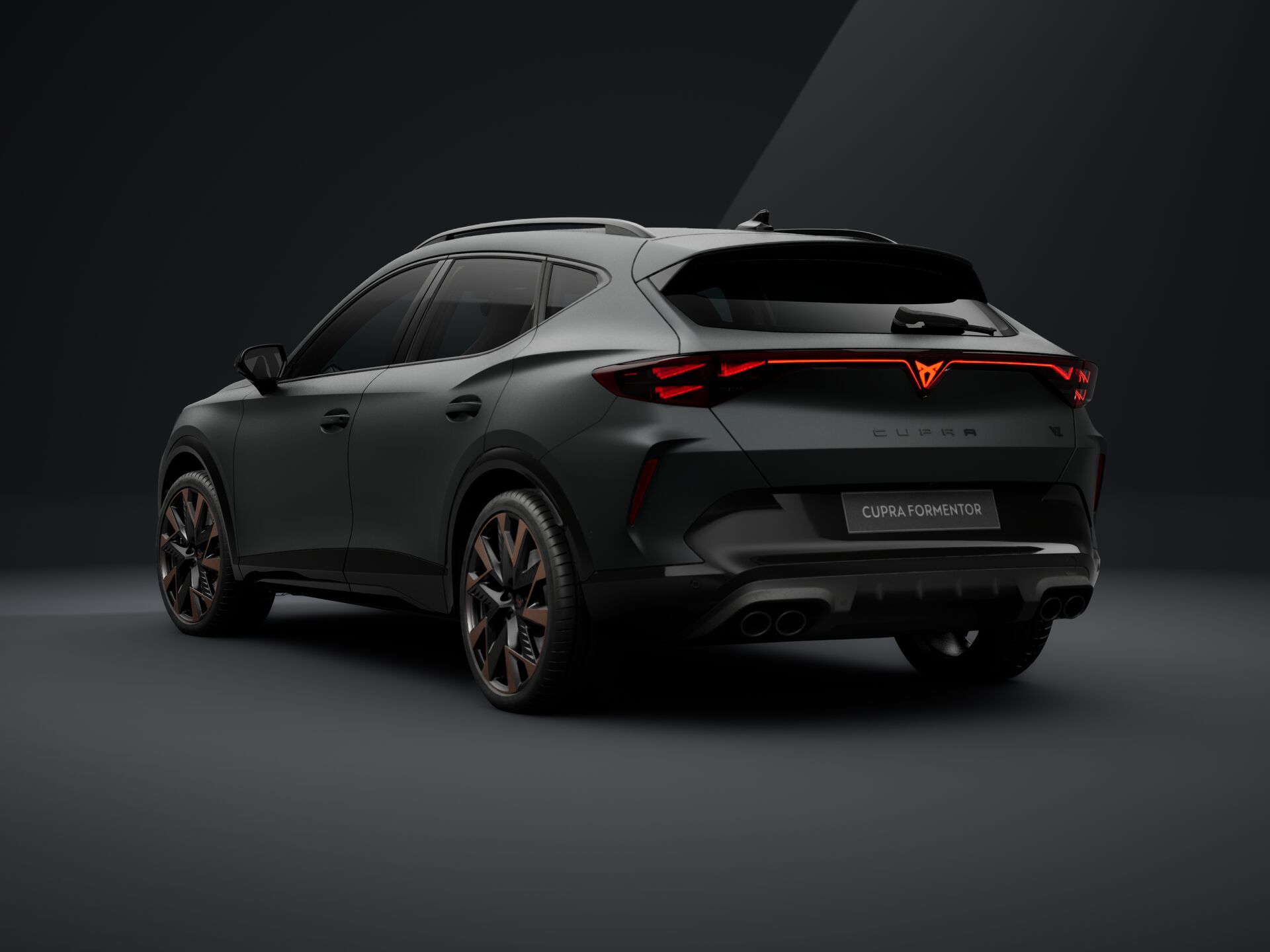 Зображення Formentor VZ 2.0 TSI 333 к.с. DSG 4Drive
