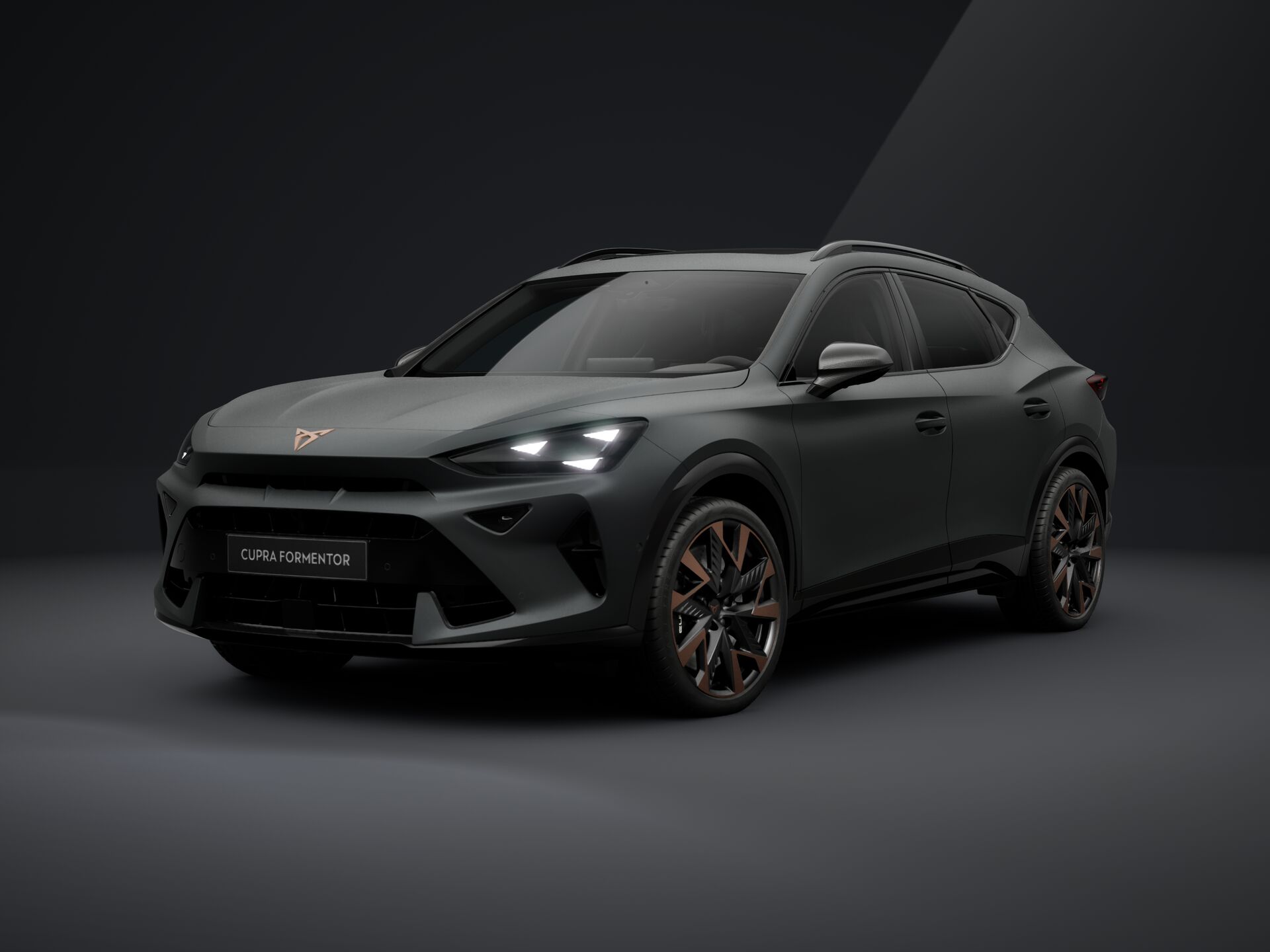 Зображення Formentor VZ 2.0 TSI 333 к.с. DSG 4Drive